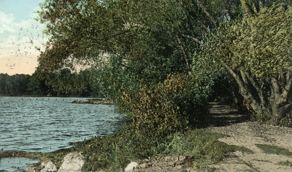 A Pretty Walk in Tenney Park, Madison, WI - Carey's Emporium