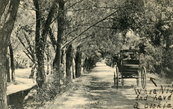 Willow Park Driveway, Madison, WI - Carey's Emporium