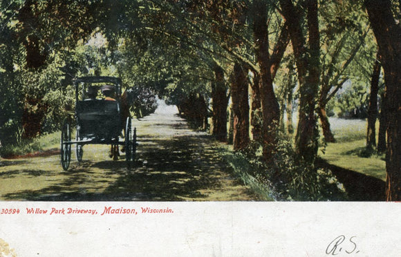Willow Park Driveway, Madison, WI - Carey's Emporium