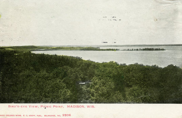 Bird's-Eye View, Picnic Point, Madison, WI - Carey's Emporium