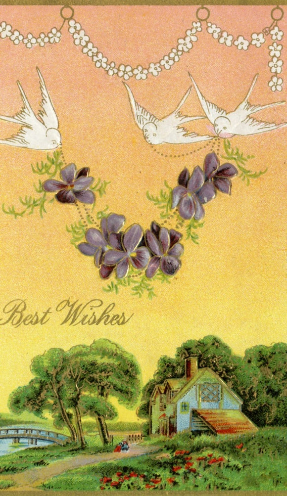 Best Wishes - Carey's Emporium