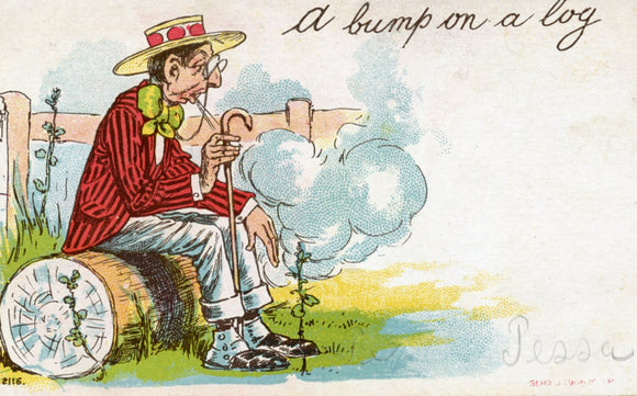 A Bump on a Log - Carey's Emporium
