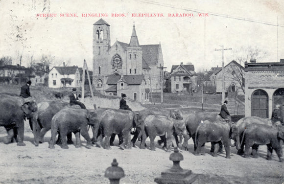 Street Scene, Ringling Bros.' Elephants, Baraboo, WI - Carey's Emporium