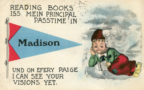 Reading Books Iss Mein Principal Passtime in Madison, WI - Carey's Emporium