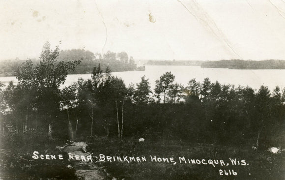 Scene Near Brinkman Home, Minocqua, WI - Carey's Emporium
