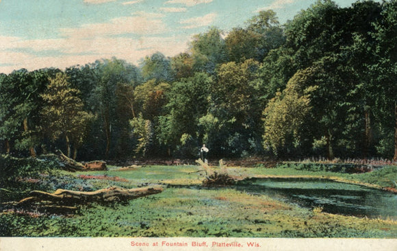 Scene at Fountain Bluff, Platteville, WI - Carey's Emporium