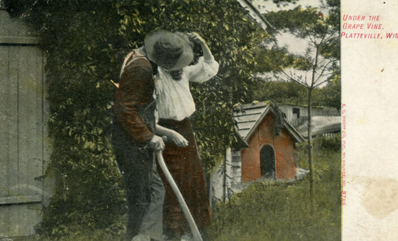 Under the Grape Vine, Platteville, WI - Carey's Emporium