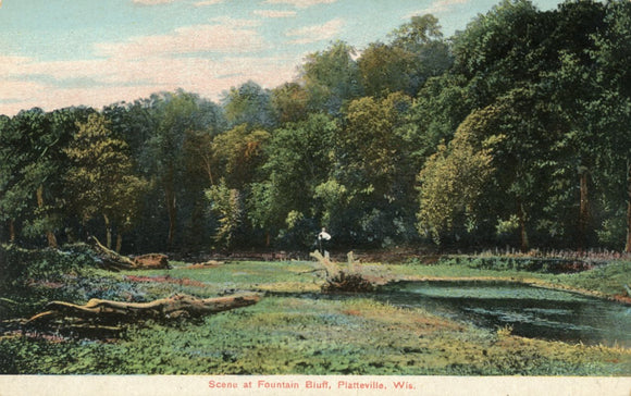 Scene at Fountain Bluff, Platteville, WI - Carey's Emporium