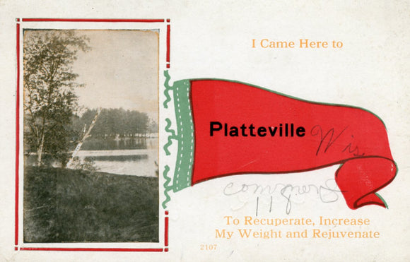 I Came Here to Plattville To Recuperate, Increase My Weight and Rejuvenate - Carey's Emporium