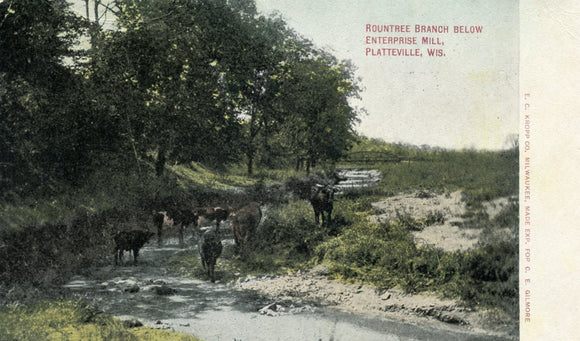 Roundtree Branch Below Enterprise Mill, Platteville, WI - Carey's Emporium