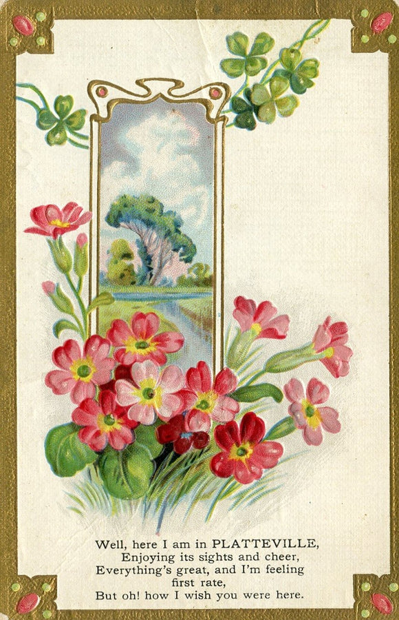 Well here I am in Plastteville, WI - Carey's Emporium