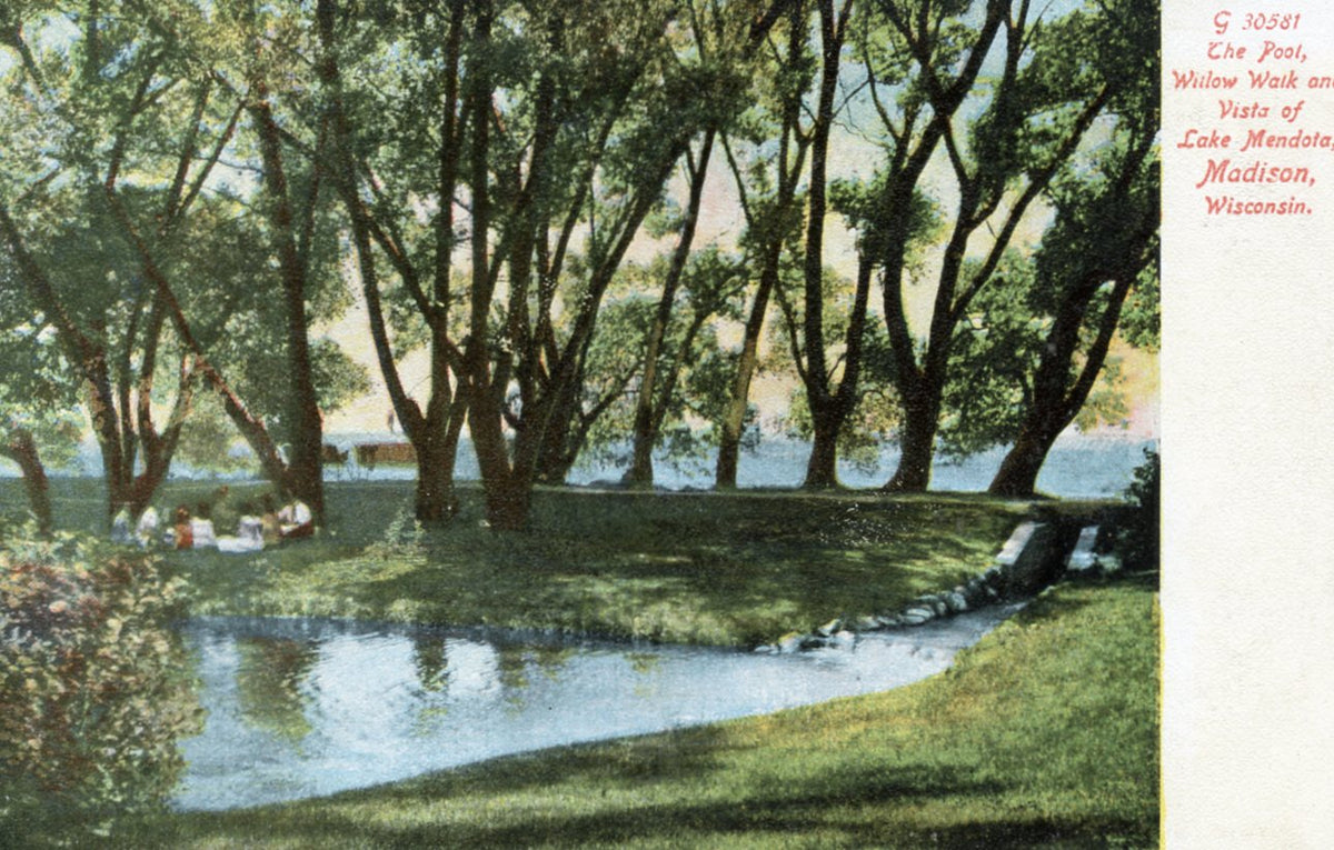 The Pool, Willow Walk and Vista of Lake Mendota, Madison, WI [Postcard ...