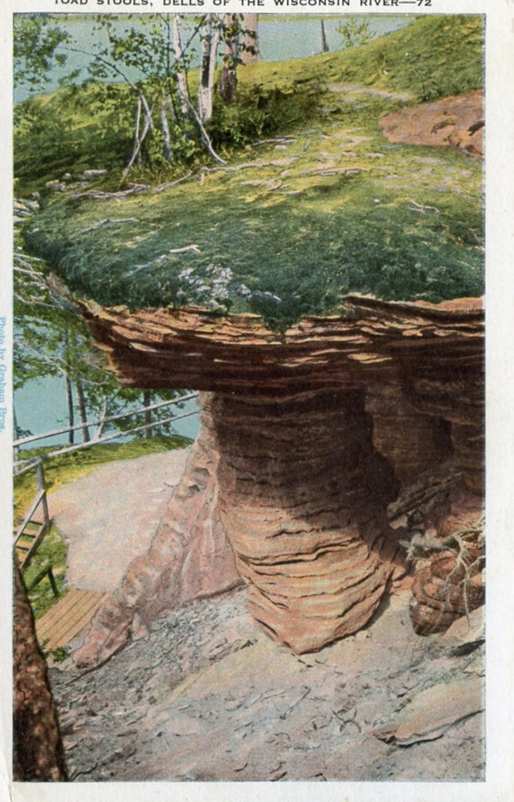 Toad Stools, Dells of the Wisconsin River, WI - Carey's Emporium