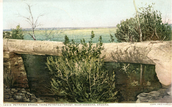 Petrified Bridge, Third Petrified Forest, near Adamana, AZ - Carey's Emporium