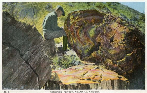 Petrified Forest, Adamana, AZ - Carey's Emporium