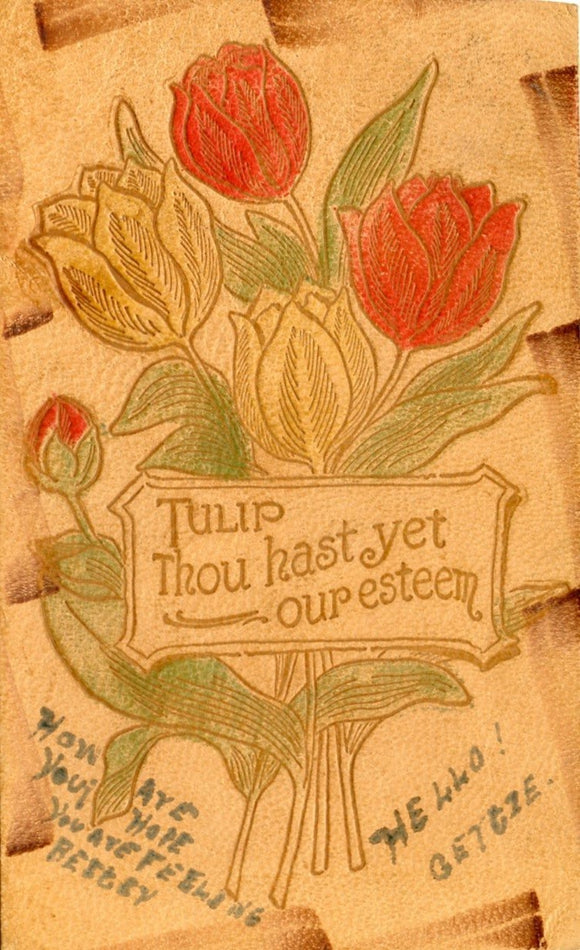Tulip, Thou Hast Yet Our Esteem, Leather - Carey's Emporium