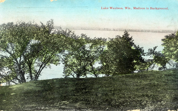 Madison in Background, Lake Waubesa, WI - Carey's Emporium