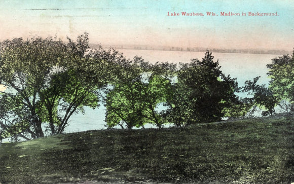 Madison in Background, Lake Waubesa, WI - Carey's Emporium