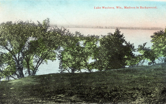 Madison in Background, Lake Waubesa, WI - Carey's Emporium