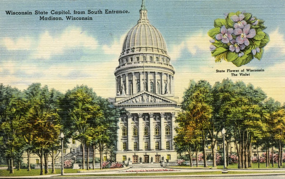 Wisconsin State Capitol, from South Entrance, Madison, WI - Carey's Emporium