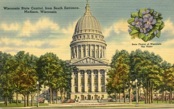 Wisconsin State Capitol, from South Entrance, Madison, WI - Carey's Emporium