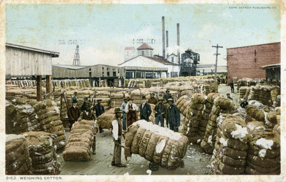 Weighing Cotton, New Orleans, LA - Carey's Emporium