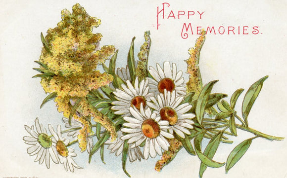 Happy Memories - Carey's Emporium