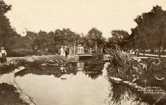 Lily Pond, Belle Isle Park, Detroit, MI - Carey's Emporium