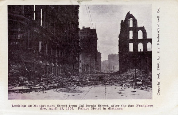 Earthquake, Montgomery Street, San Francisco, CA - Carey's Emporium