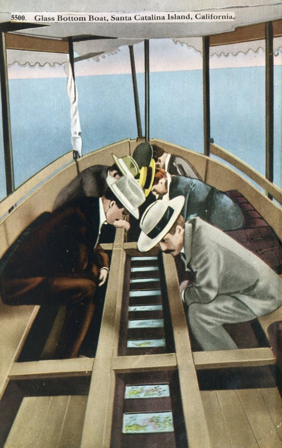 Glass Bottom Boat, Santa Catalina Island, CA - Carey's Emporium