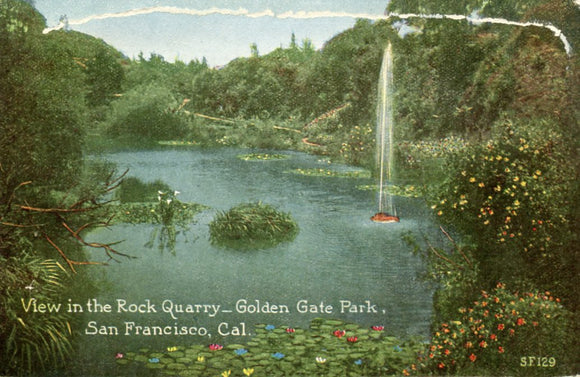 View in the Rock Quarry, Golden Gate Park, San Francisco, CA - Carey's Emporium