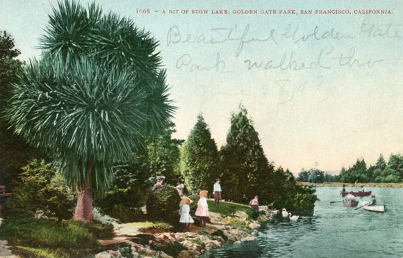 A Bit of Stow Lake, Golden Gate Park, San Francisco, CA - Carey's Emporium