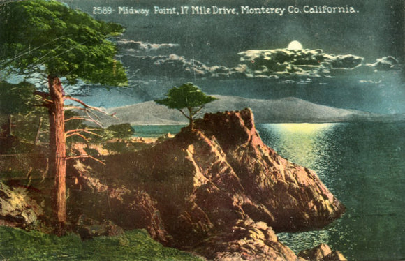 Midway Point, 17 Mile Drive, Monterey Co., CA - Carey's Emporium
