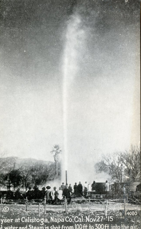 Geyser at Calistoga, Napa Co., CA - Carey's Emporium