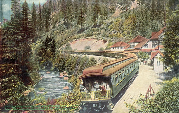 The Shasta Limited at Shasta Springs, CA - Carey's Emporium