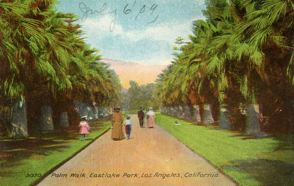 Palm Walk, Eastlake Park, Los Angeles, CA - Carey's Emporium