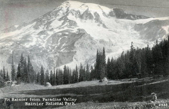 Mt. Rainier from Paradise Valley, Rainier National Park - Carey's Emporium