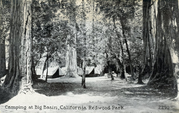 Camping at Big Basin, California Redwood Park - Carey's Emporium