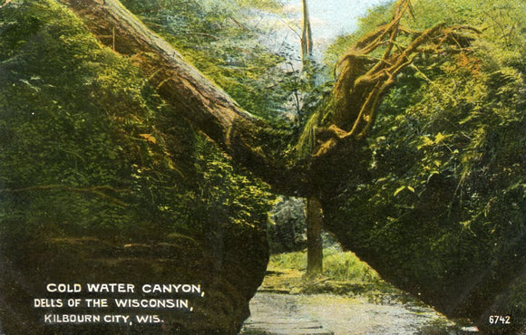 Cold Water Canyon, Dells of the Wisconsin, Kilbourn City, WI - Carey's Emporium