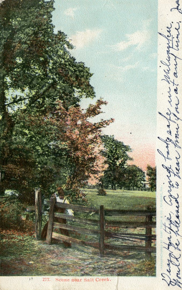 Scene Near Salt Creek, Milwaukee, WI - Carey's Emporium