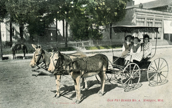 Our Pet Series No. 4, Viroqua, WI - Carey's Emporium