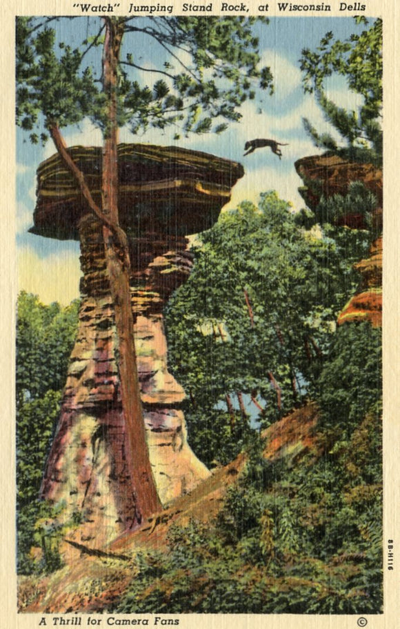 Watch Jumping Stand Rock, at Wisconsin Dells, WI - Carey's Emporium