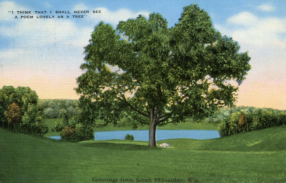 Greetings from South Milwaukee, WI - Carey's Emporium