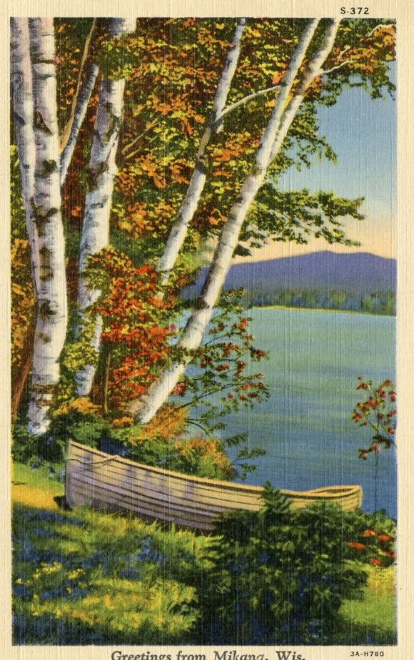 Greetings from Mikana, WI - Carey's Emporium