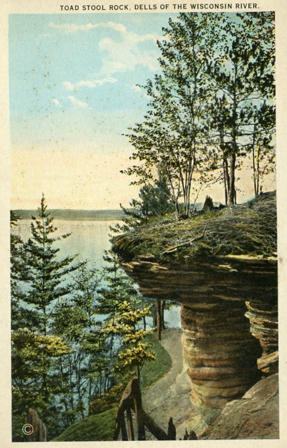 Toad Stool Rock, Dells of the Wisconsin River, WI - Carey's Emporium