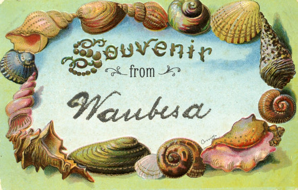 Souvenir from Waubesa, WI - Carey's Emporium