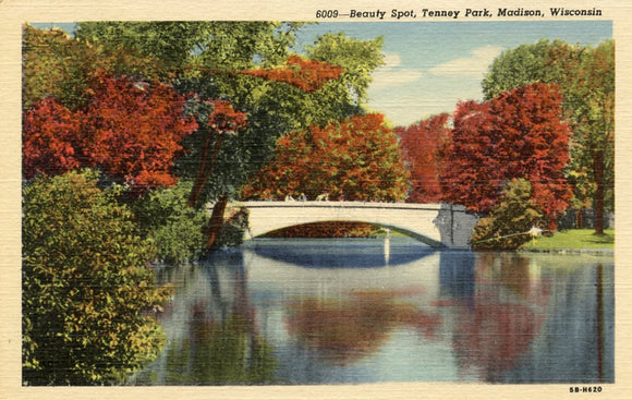 Beauty Spot, Tenney Park, Madison, WI - Carey's Emporium