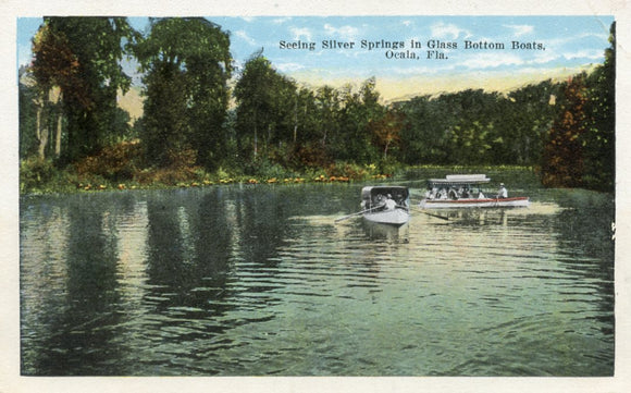 Seeing Silver Springs in Glass Bottom Boats, Ocala, FL - Carey's Emporium