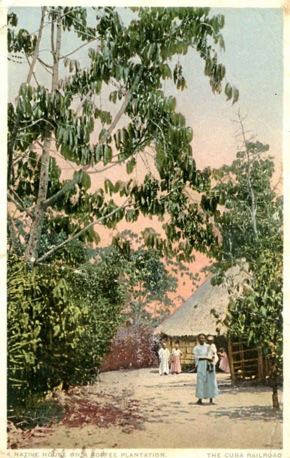 A Native House on a Coffee Plantation - Carey's Emporium