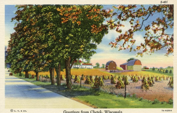 Greetings from Chetek, WI - Carey's Emporium